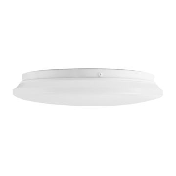 LED Plafón LED/24W/230V 4000K diá. 300 mm