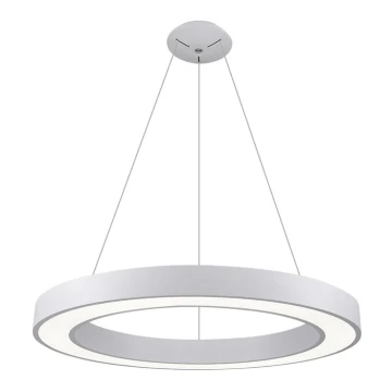 LED2 - Lámpara LED colgante SATURN LED/80W/230V 3000K diá. 80 cm blanco