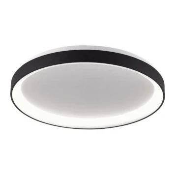 LED2 - Plafón LED BELLA LED/48W/230V 3000K/4000K negro