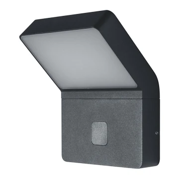 Ledvance - LED Lámpara exterior con sensor ENDURA LED/12W/230V IP44