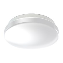 Ledvance - LED Plafón de baño con sensor CEILING ROUND LED/12W/230V IP44
