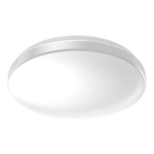 Ledvance - LED Plafón de baño con sensor CEILING ROUND LED/24W/230V IP44