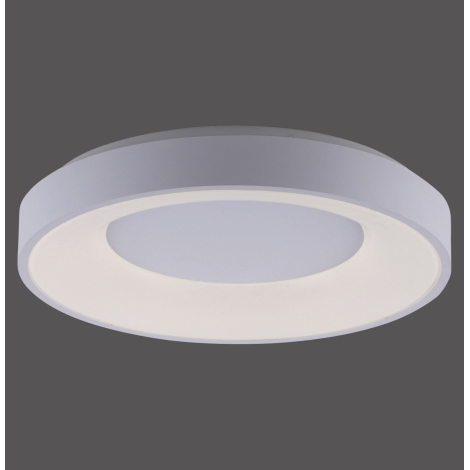 Leuchten Direkt 14326-16 - LED Plafón regulable ANIKA LED/30W/230V + control remoto