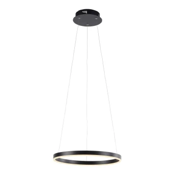 Leuchten Direkt 15393-13 - Lámpara de araña LED regulable RITUS LED/20W/230V negro