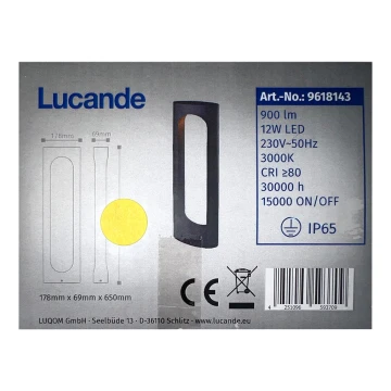 Lucande - Lámpara LED de exterior FENTI LED/12W/230V IP65