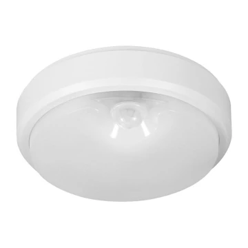 Müller-Licht - Plafón LED de exterior con sensor PICTOR LED/8W/230V IP54