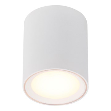Nordlux - Foco LED FALLON LONG LED/5,5W/230V blanco