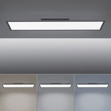 Paul Neuhaus 16533-16-O - Panel LED regulable de superficie FLAT LED/24W/230V 2700-5000K negro + mando a distancia