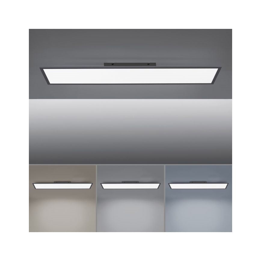 Paul Neuhaus 16533-16-O - Panel LED regulable de superficie FLAT LED/24W/230V 2700-5000K negro + mando a distancia