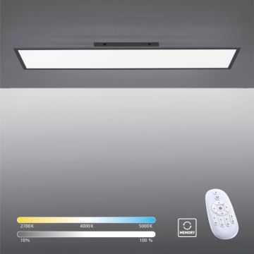 Paul Neuhaus 16533-16-O - Panel LED regulable de superficie FLAT LED/24W/230V 2700-5000K negro + mando a distancia