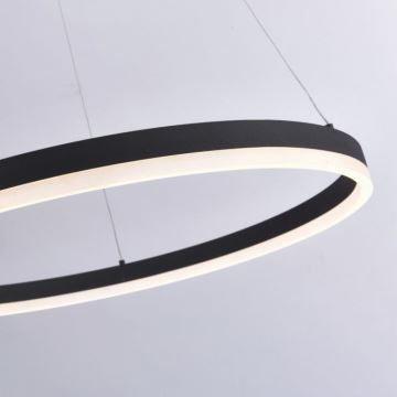 Paul Neuhaus 2383-13 - Lámpara de araña LED regulable de cable TITUS LED/50W/230V