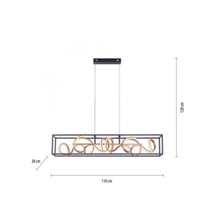 Paul Neuhaus 2416-18 - LED Lámpara colgante regulable SELINA 4xLED/10,2W/230V