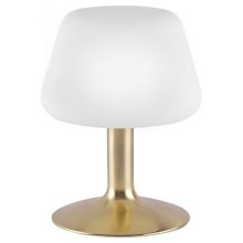 Paul Neuhaus 4078-60 - Lámpara de mesa LED regulable TILL 1xG9/3W/230V bronce