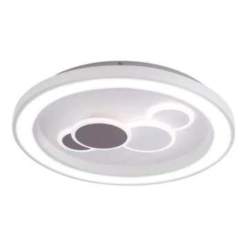 Paul Neuhaus 6284-16 - Plafón LED ELIZA LED/55,5W/230V