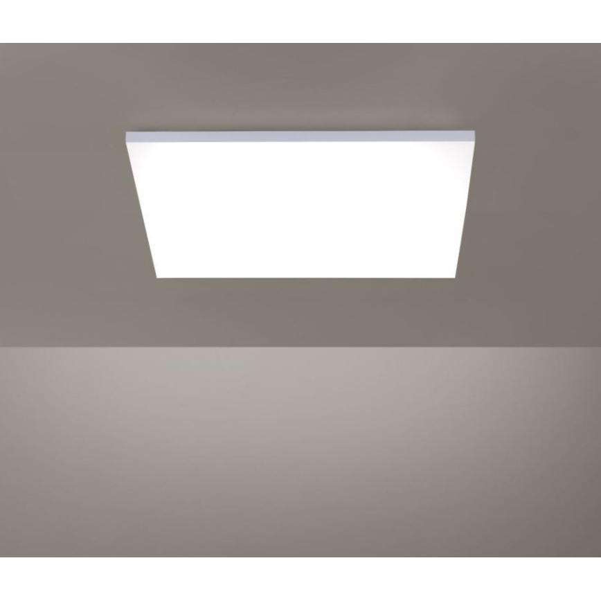 Paul Neuhaus 8492-16 - Panel de LEDs regulables con base FRAMELESS LED/35W/230V + mando a distancia