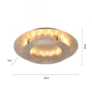 Paul Neuhaus 9620-12 - Plafón LED NEVIS LED/18W/230V dorado