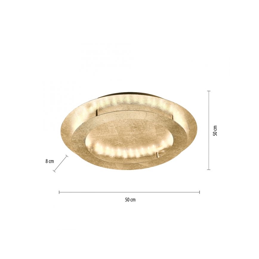 Paul Neuhaus 9621-12 - Plafón LED NEVIS LED/24W/230V