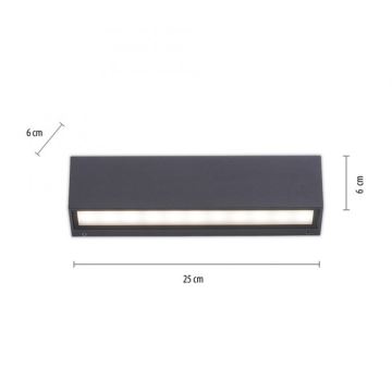 Paul Neuhaus 9675-13 - Aplique LED de exterior ROBERT 2xLED/9W/230V IP65