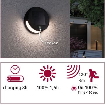 Paulmann 94265 - Luminaria solar exterior con sensor LED/3W IP44 HELENA 3,7V