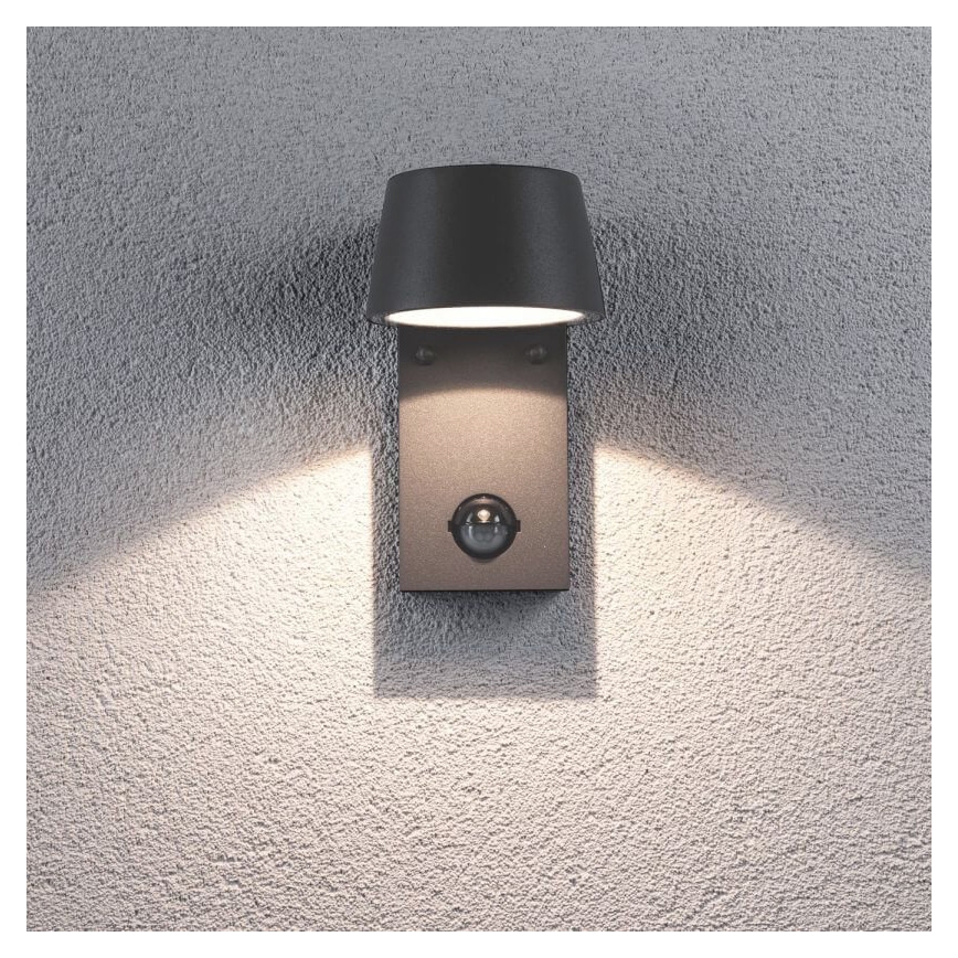 Paulmann 94453 - Aplique de exterior con sensor LED/6W IP44 CAPEA 230V