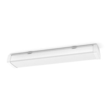 Philips 31248/31/P0 - Lámpara técnica LED AQUALINE LED/24W/230V IP65