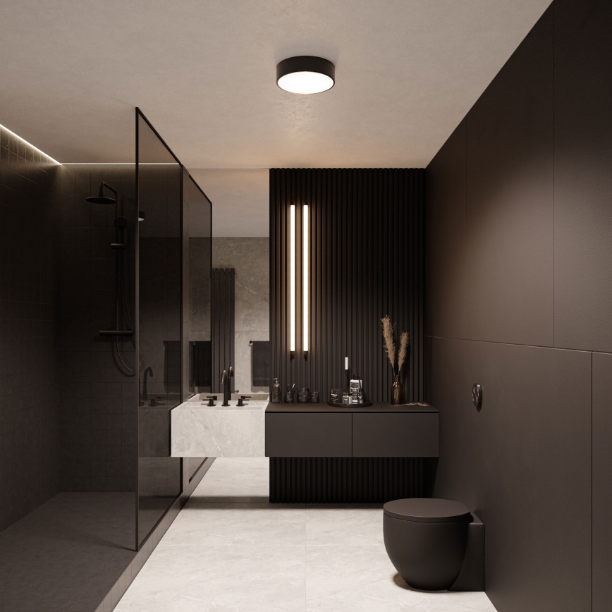 Plafón de baño CLEO 2xE27/24W/230V diá. 30 cm negro IP54