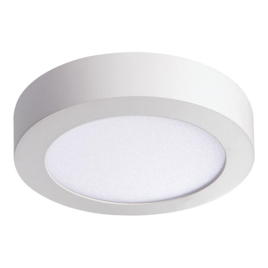 Plafón LED CARSA LED/12W/230V 3000K blanco 17 cm de diámetro