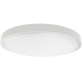 Plafón LED de baño LED/18W/230V IP44 6500K diá. 25 cm blanco