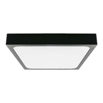 Plafón LED de baño LED/24W/230V 6500K IP44 negro