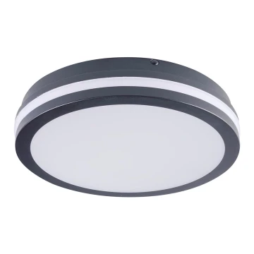 Plafón LED de exterior con sensor BENO LED/24W/230V 4000K antracita IP54