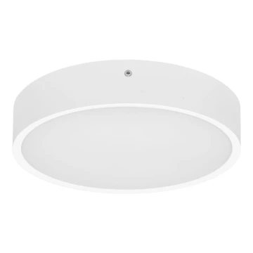 Plafón LED de exterior con sensor MARTIN LED/15W/230V 3000/4000K diá. 30 cm IP65 blanco