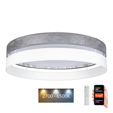 Plafón LED regulable LIMA LED/36W/230V 2700-6500K Wi-Fi Tuya + mando a distancia plata/blanco