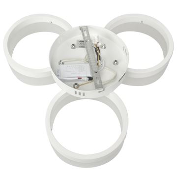 Plafón LED RING 3xLED/12W/230V blanco