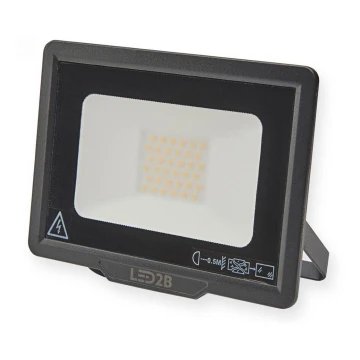 Proyector LED de exterior LED/30W/230V 6500K IP65