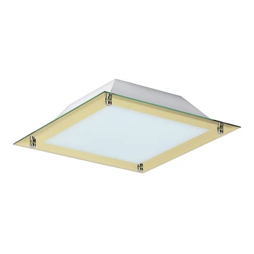 Rabalux 3047 - Plafón LED LARS 1xLED/12W/230V