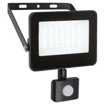 Rabalux - Reflector LED con sensor LED/30W/230V 4000K IP44 negro