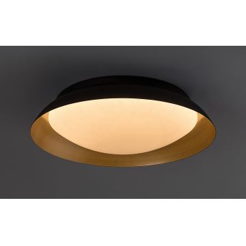 Rabalux - Plafón LED LED/24W/230V 3000K diá. 40 cm