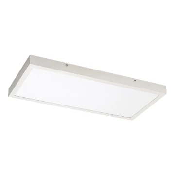 Rabalux - Panel LED fijo LED/24W/230V 4000K 60x30 cm