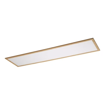 Rabalux - Panel LED fijo LED/40W/230V 4000K