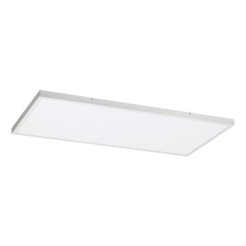 Rabalux - Panel LED fijo LED/80W/230V 4000K 120x60 cm