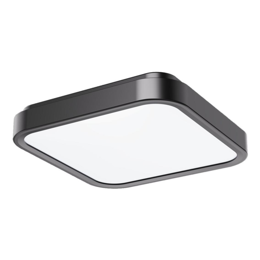 Rabalux - Plafón LED de baño LED/18W/230V IP44 4000K 25x25 cm negro