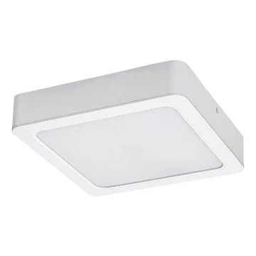 Rabalux - Plafón LED LED/15W/230V 4000K 16x16 cm blanco