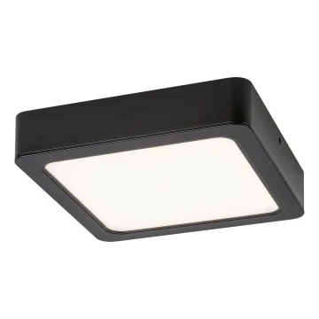 Rabalux - Plafón LED LED/24W/230V 3000K 22x22 cm negro