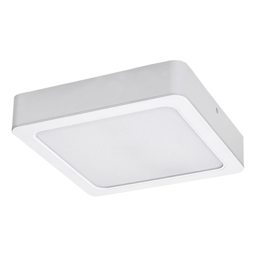 Rabalux - Plafón LED LED/24W/230V 4000K 22x22 cm blanco