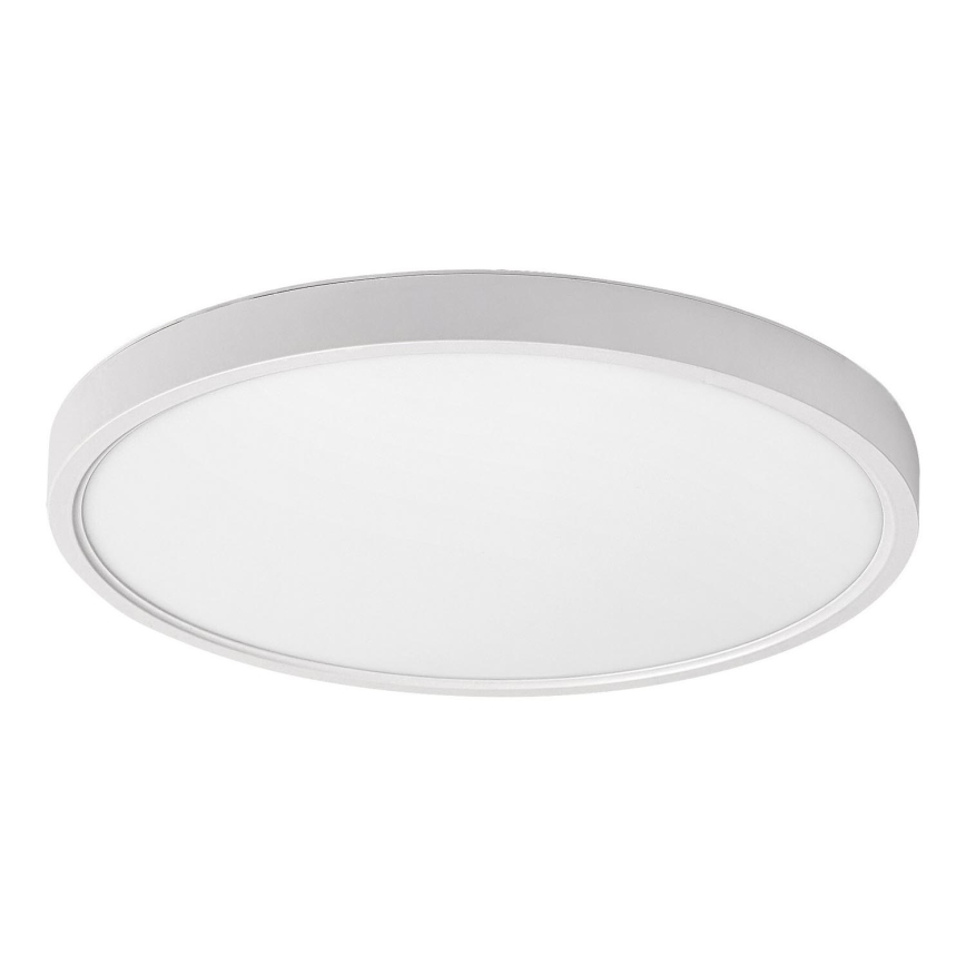 Rabalux - Plafón LED LED/24W/230V 4000K diá. 30 cm blanco