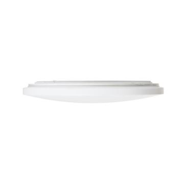 RED - Design Rendl - R12433 - Plafón LED SEMPRE LED/36W/230V redondo