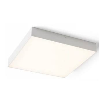 RED - Design Rendl - R13489 - Plafón LED LARISA LED/50W/230V blanco