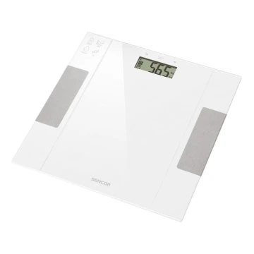 Sencor - Báscula personal de fitness inteligente 1xCR2032 blanco