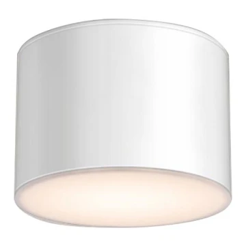 Shilo - Plafón de baño 1xGX53/15W/230V IP44 blanco