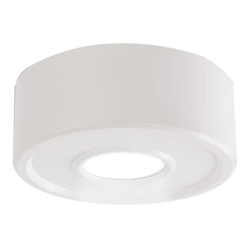 Shilo - Plafón LED LED/10W/230V 3000K CRI 90 blanco